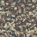 Brown camouflage, seamless grunge pattern. Modern military camo texture. Vector illustration.